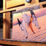 Detail of Geosternbergia by Owen William Weber