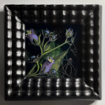 Black Widow Spider on Belladonna