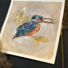 Kingfisher