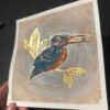Kingfisher - Image 4