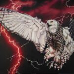 Hindsight, full image