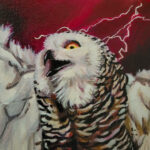 Hindsight, owl detail