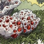 Denizens of the Duff by Emily Poole