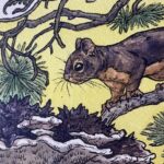 Denizens of the Duff by Emily Poole