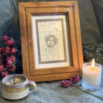 "Nature's Way" by Kaysha Siemens