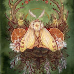 Little Light by Tia Kinsman