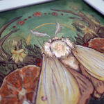 Little Light by Tia Kinsman