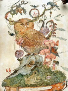 Watercolour painting of Magical owl from a cabinet of curiosities.