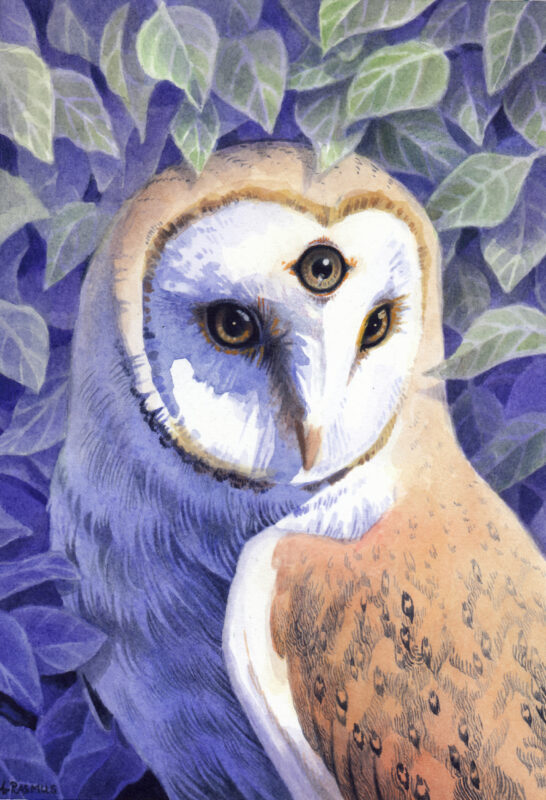 "Oracle" - by Angelika Rasmus