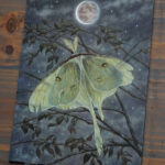 "Tattered Luna Moth" by Kaysha Siemens