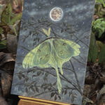 "Tattered Luna Moth" by Kaysha Siemens