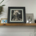 "Cassiopeia" by Alexandra Verhoven on a shelf