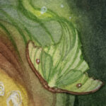 "Hope is a Hidden Blossom" - by Amelia Leonards