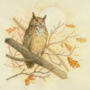 Flaco the Eagle Owl painted on cream paper in watercolor and some colored pencil
