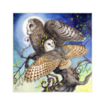 morning moon owl painting with mat