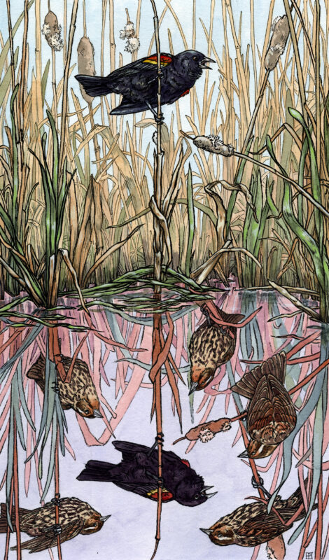 Aspirations by Emily Poole