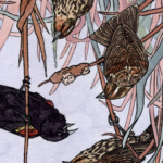 Aspirations by Emily Poole