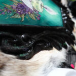 Illuminated by Tia Kinsman