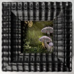 Spider Artwork Framed