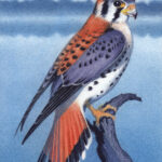 "Tranquility" - by Angelika Rasmus