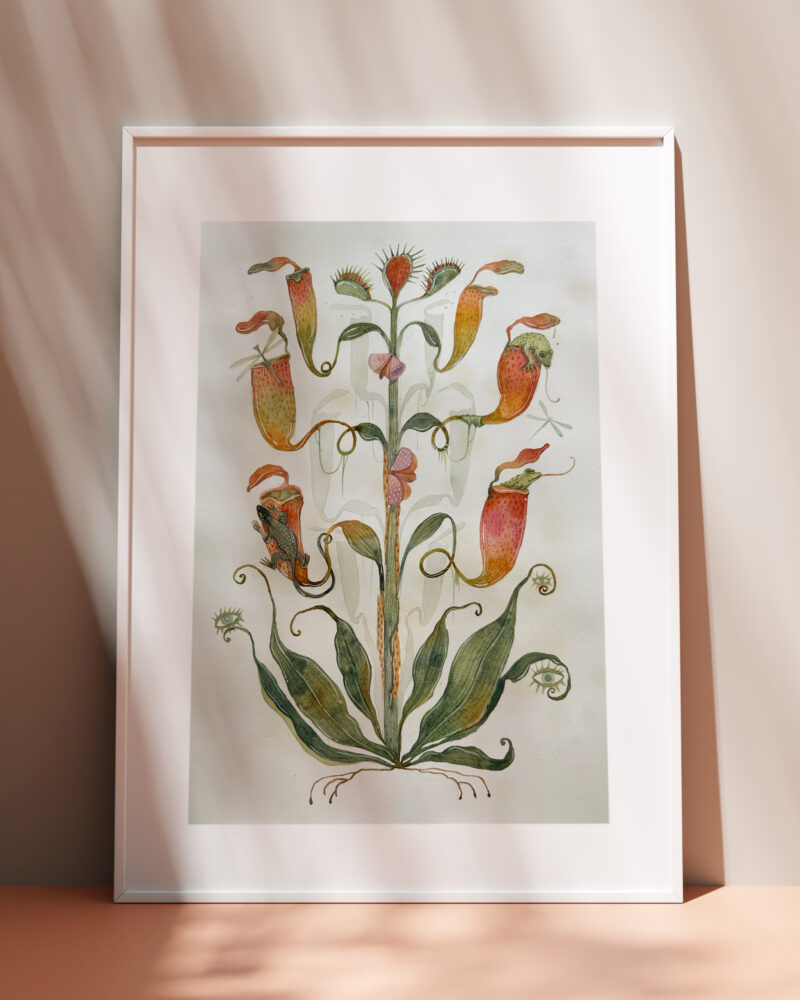 Watercolour painting of an unique mythical plant in a botanist's curiosity cabinet.