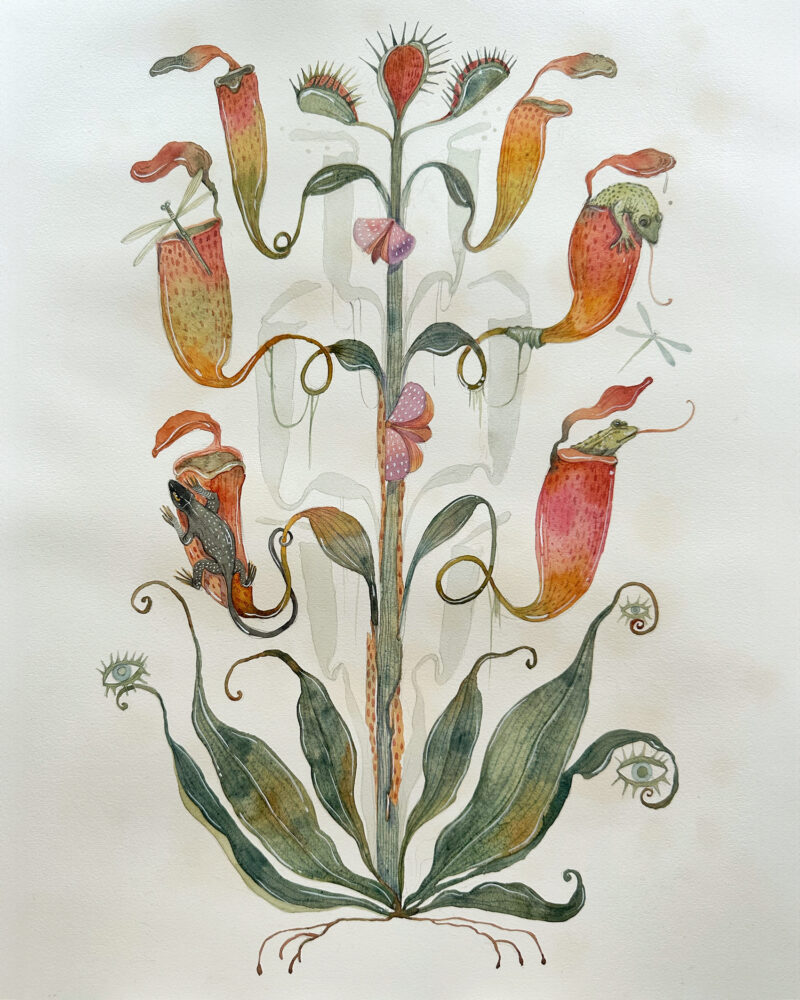 Watercolour painting of an unique mythical plant in a botanist's curiosity cabinet.