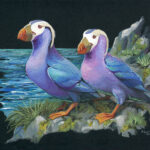 kenai fjords series tufted puffin