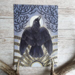 "Origin of Raven" by Nina Pommelin