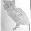 Nutmeg The Meowl - Image 2
