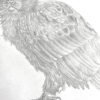Nutmeg The Meowl - Image 5