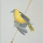 Lost Song - Marta Witkiewicz