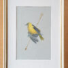 Lost Song-frame