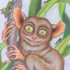 Tarsier and The Rainforest Crawlies - Image 3