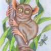 Tarsier and The Rainforest Crawlies - Image 2
