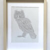 Ficus The Meowl - Image 5