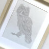 Ficus The Meowl - Image 2