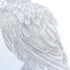 Ficus The Meowl - Image 4