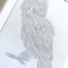Ficus The Meowl