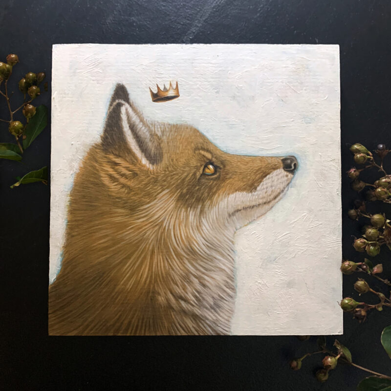 King Fox | Carolina Lebar