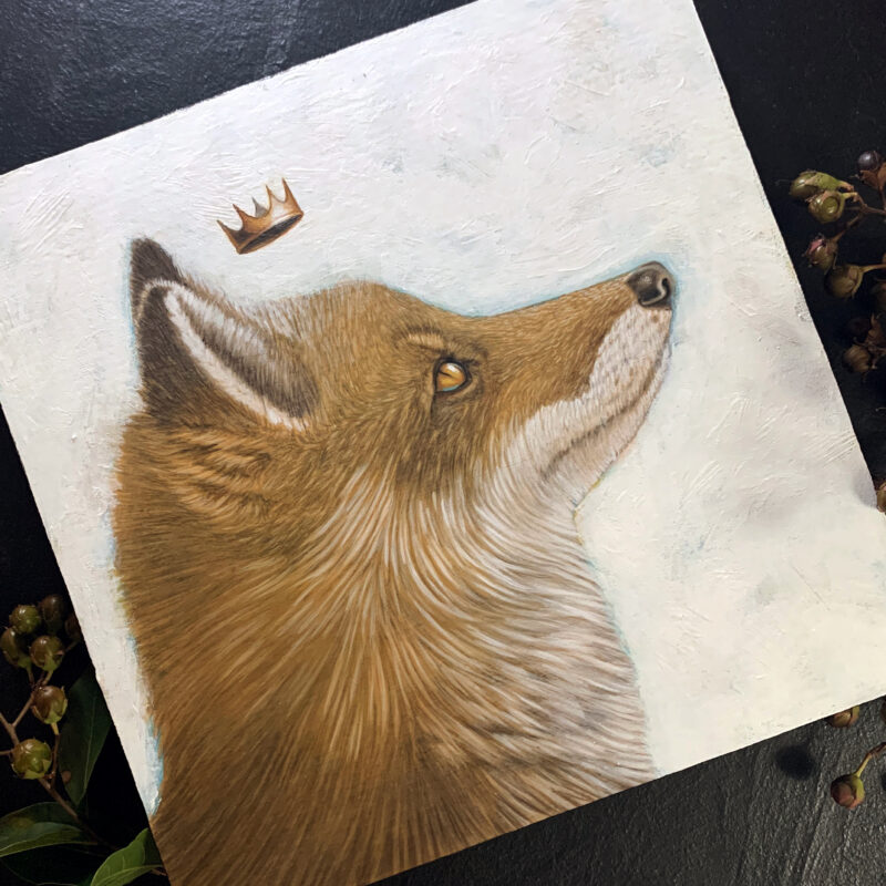 King Fox | Carolina Lebar