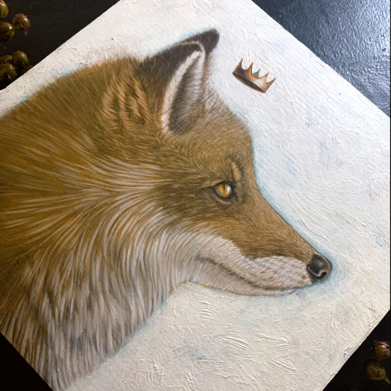 King Fox | Carolina Lebar