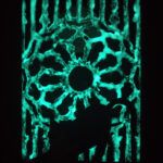 LATE NIGHT STRETCH GLOW-IN-THE-DARK