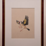 Marta Witkiewicz - Rising above framed