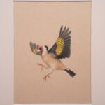 Marta Witkiewicz - Rising above passe-partout