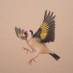 Marta Witkiewicz-Rising Above