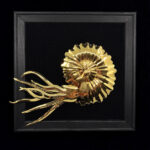 Golden ammonite with elegant tentacles