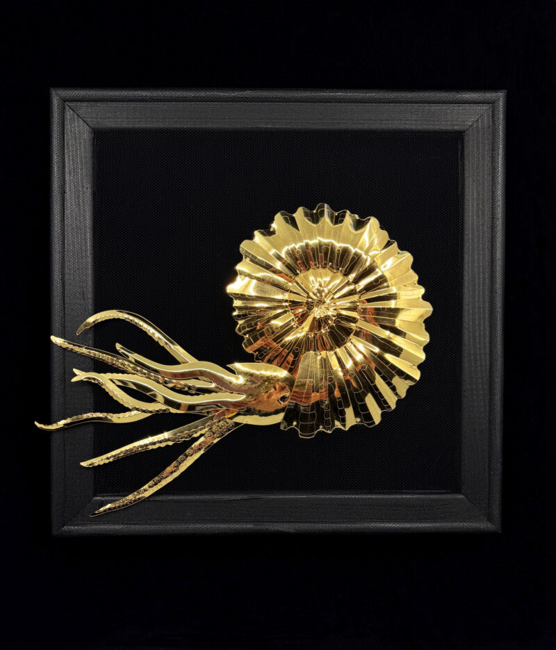 Golden ammonite with elegant tentacles