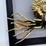 Golden ammonite with elegant tentacles