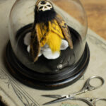 Death's Head by Lana Crooks