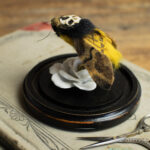 Death's Head by Lana Crooks